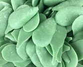 Глазурь шоколадная зеленая (зел, яблоко) 0,5 кг