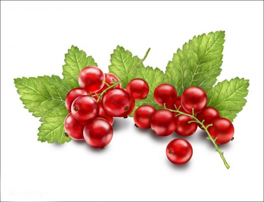 Пюре Organic-bar красная смородина 0,2 кг замороженное